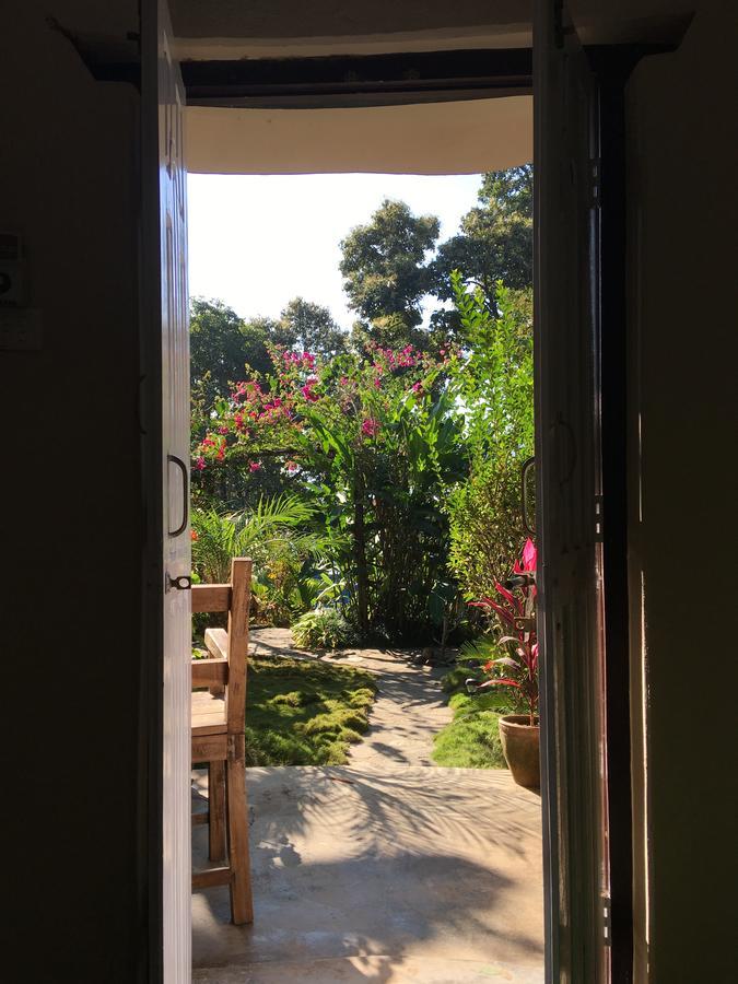 Hidden Paradise Guest House Pokhara Extérieur photo