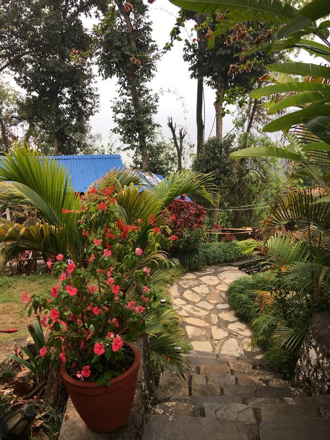 Hidden Paradise Guest House Pokhara Extérieur photo