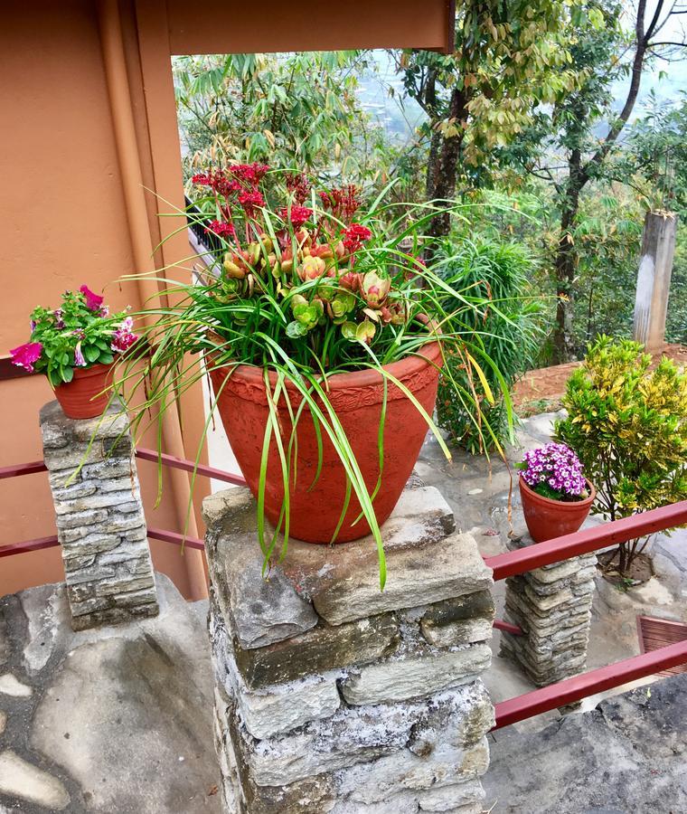 Hidden Paradise Guest House Pokhara Extérieur photo